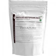 Bacillus azotofixans BA55 Organic